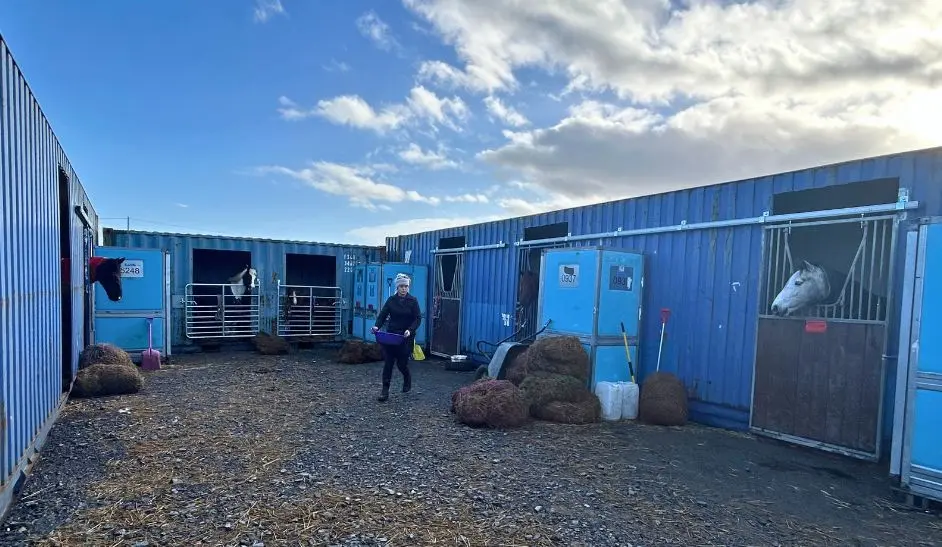 Peninsula Stable Minds - TITAN Impact